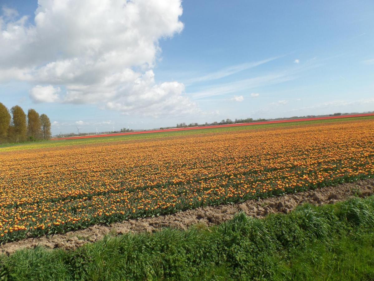 Bed En Breakfast En Bike Sommelsdijk Екстер'єр фото